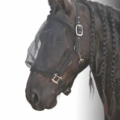 Discount harryshorse Harry'S Horse Riimu Karpasmaskilla Black