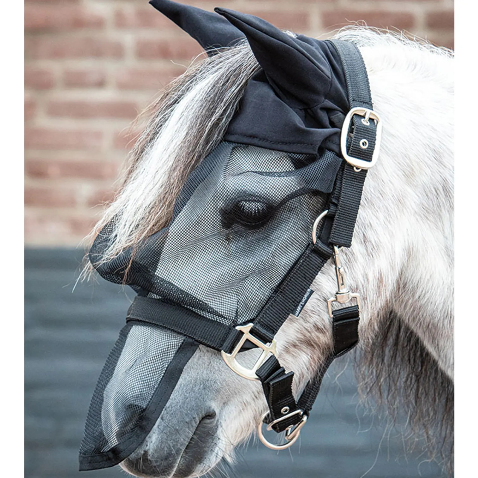 Outlet harryshorse Harry'S Horse Riimu Karpasmaskilla Ja Hupulla Black