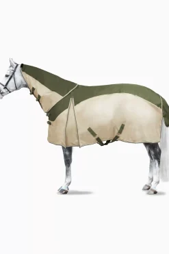 schmidt Hauke Selfoss Talviratsastushanskat