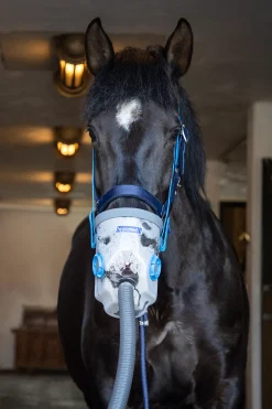 Discount hippomed Airone Akkukayttoinen Ultraaani-Inhalaattori Hevosille Maskilla, Lamminverinen Wh/Ab