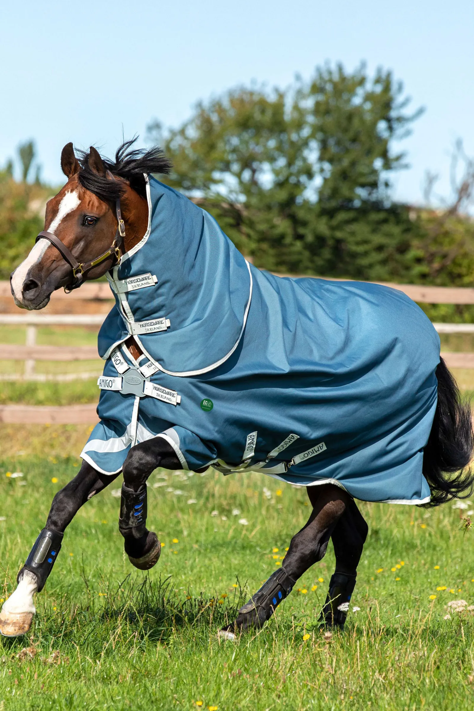 New horseware Ameco Bravo 12 Plus Ulkoloimi Irrotettavalla Kaulakappaleella, 100 G Teal/ Grey