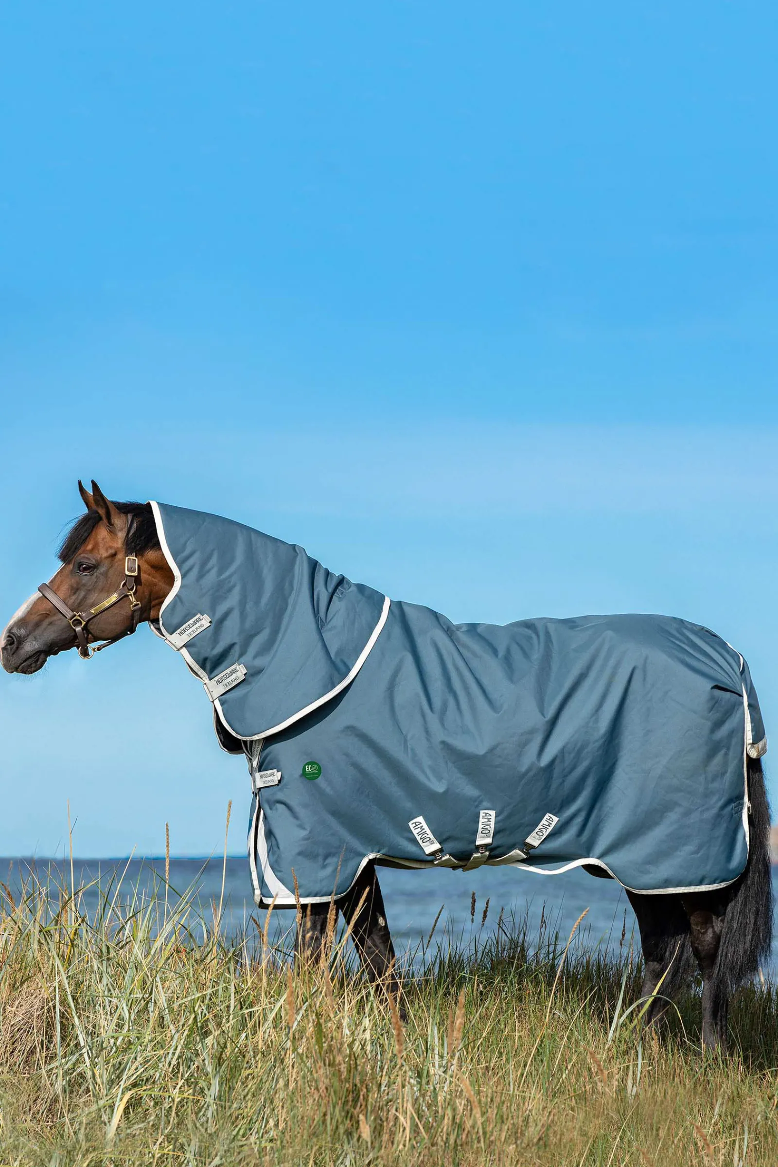 New horseware Ameco Bravo 12 Plus Ulkoloimi Irrotettavalla Kaulakappaleella, 100 G Teal/ Grey