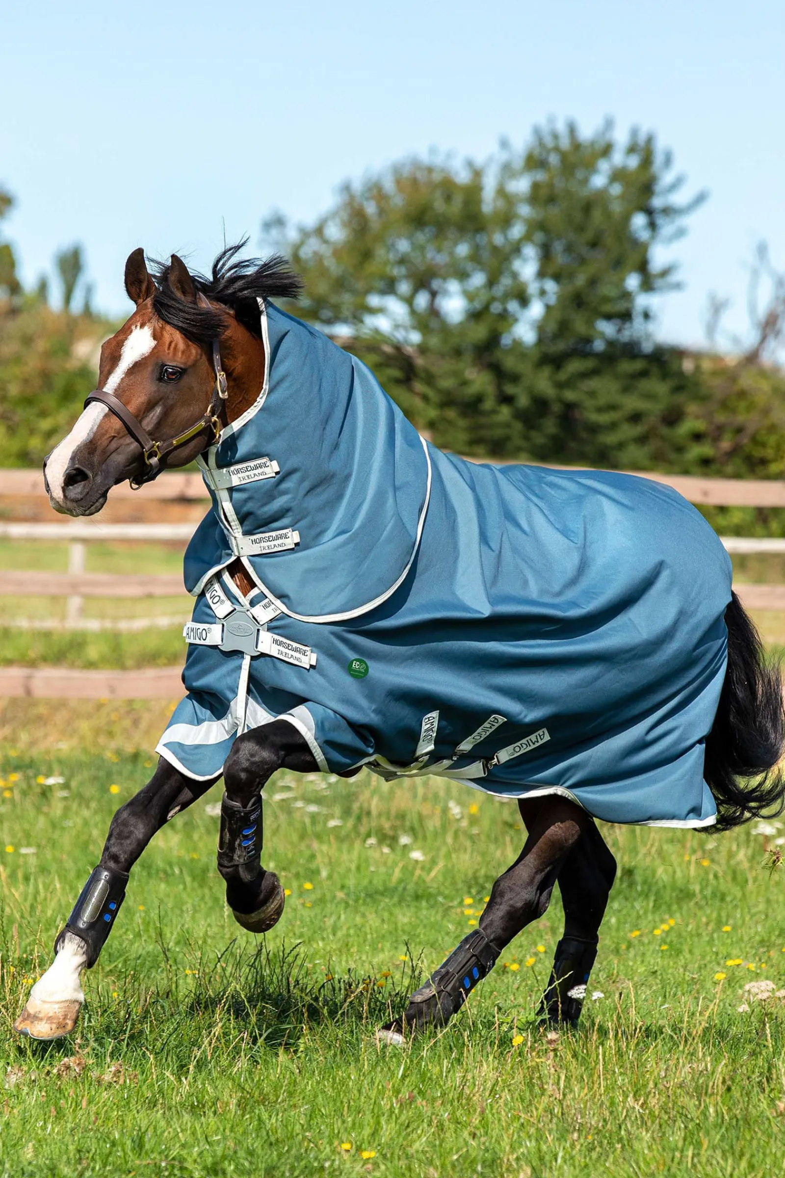 New horseware Ameco Bravo 12 Plus Ulkoloimi Irrotettavalla Kaulakappaleella, 100 G Teal/ Grey