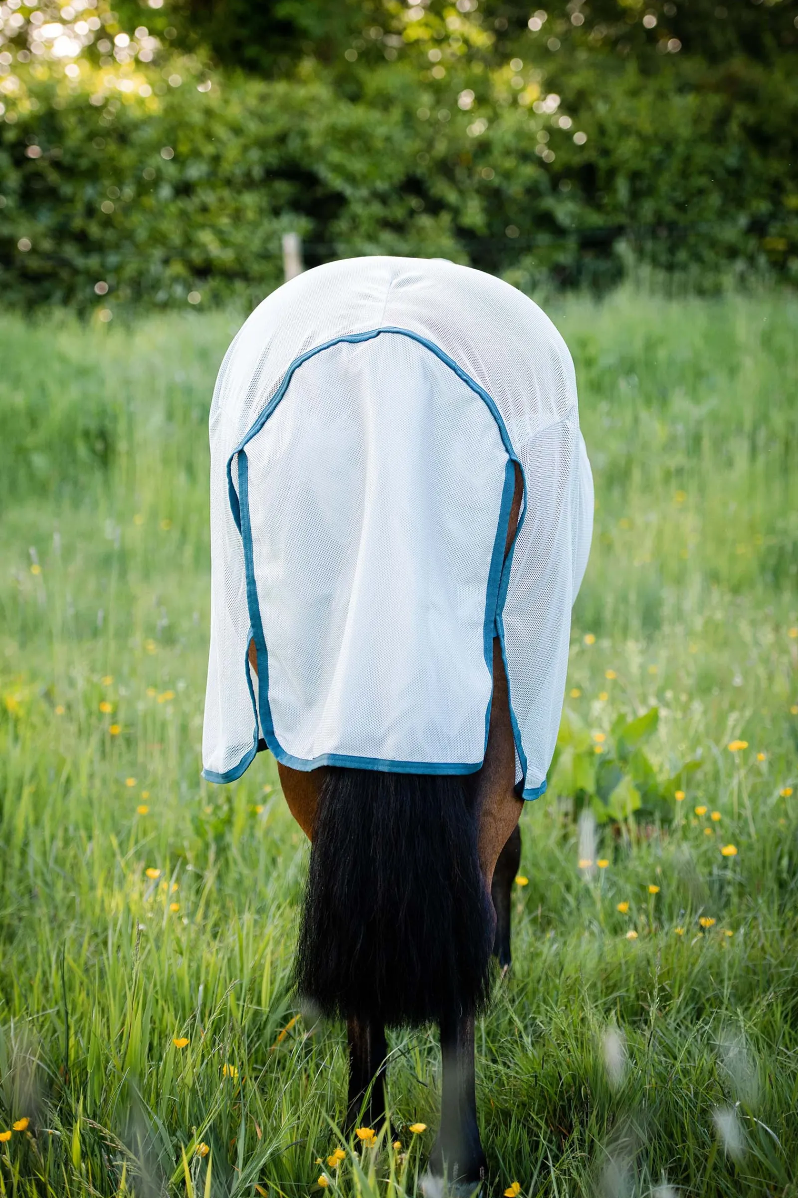 Hot horseware Ameco Hyonteisloimi Silver/Electric Blue