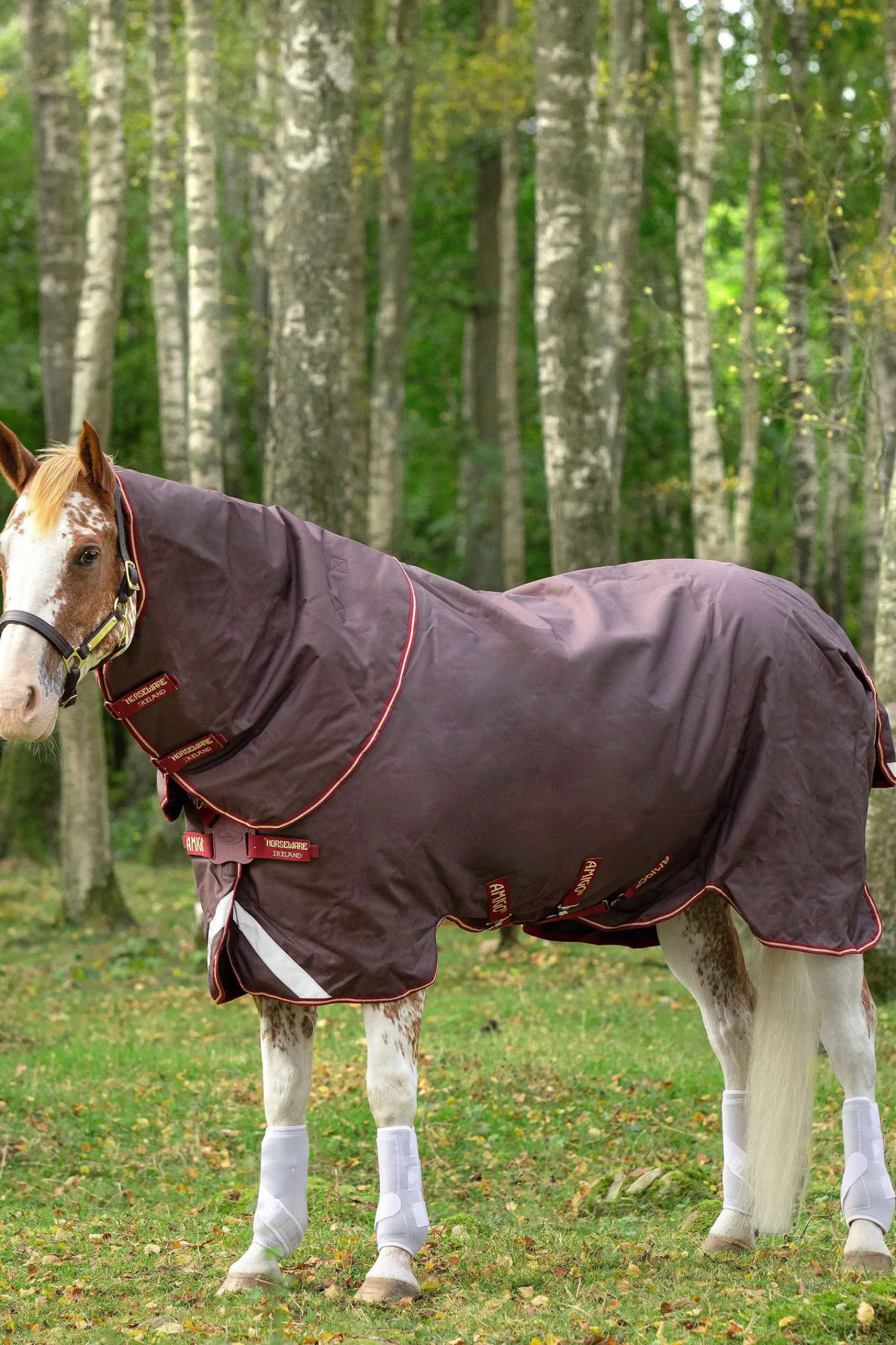 Best horseware Amigo Bravo 12 Plus T/O 100G D/Fr -Loimi Brown/Red/Gold/Red