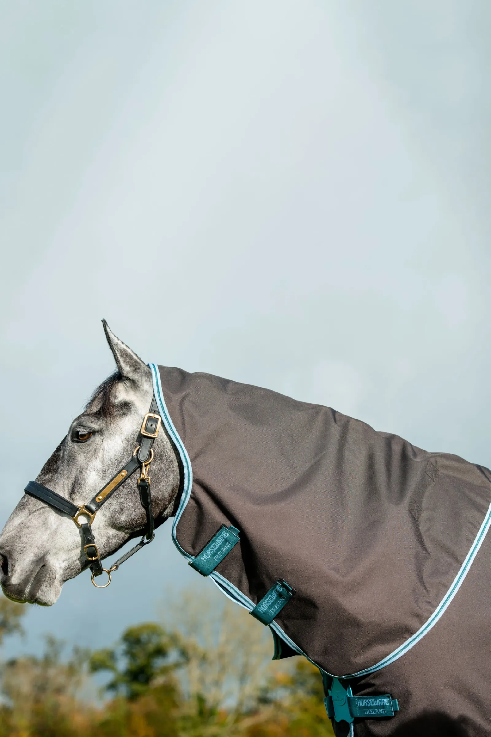 horseware Amigo Bravo 12 Plus Ulkoloimi Levykiinnityksella, 250 G Excalibur/Aqua & Turquoise