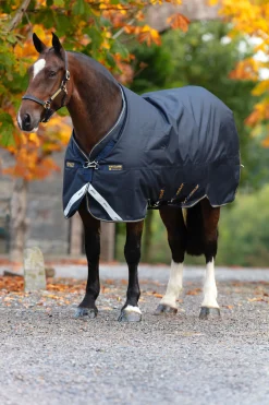 Online horseware Amigo Bravo 12 Xl Ulkoloimi, 250 G Navy/Navy/Gold
