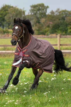 Clearance horseware Amigo Bravo 12T/Olite Discfrn -Loimi, 0G Brown/Red/Gold/Red