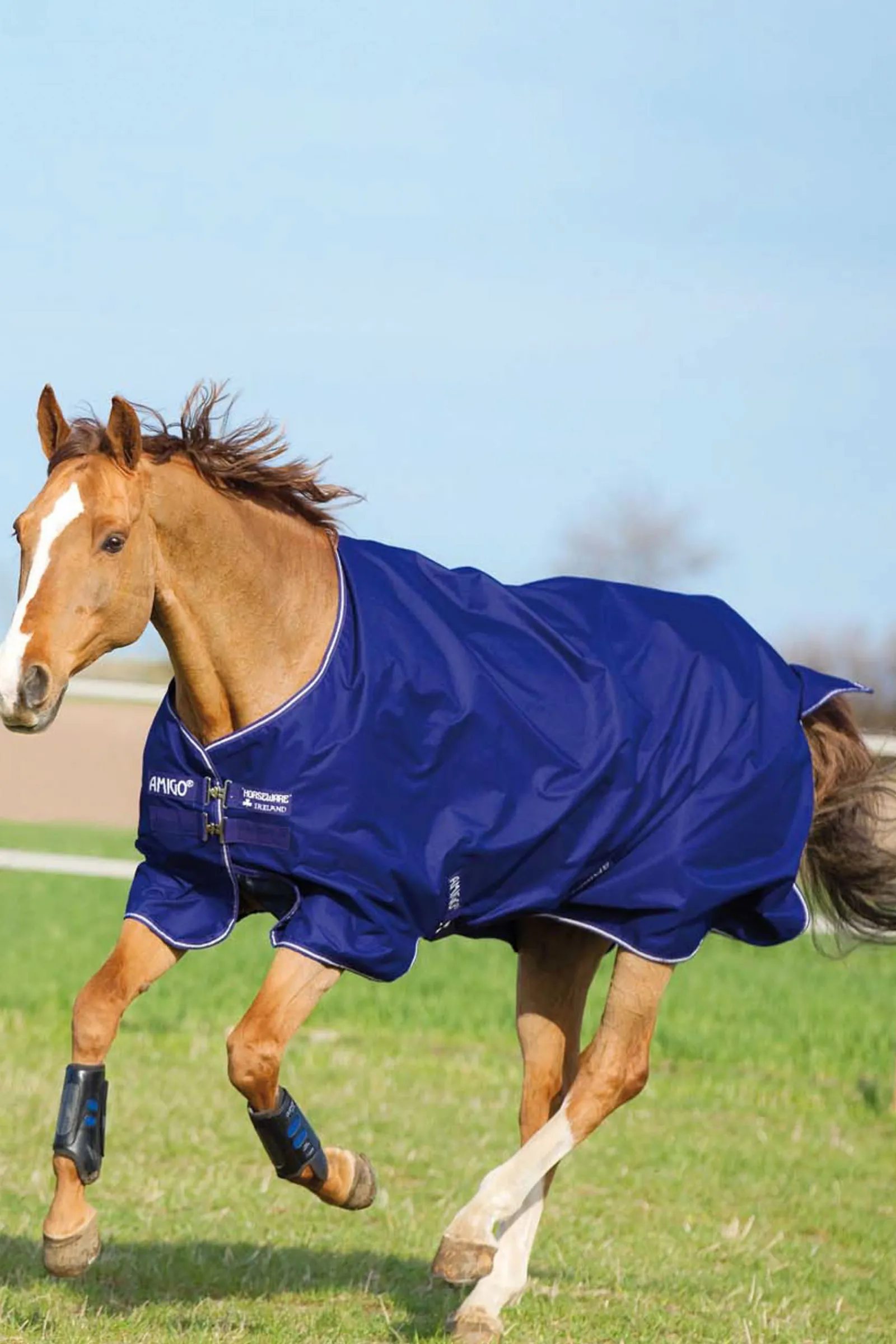 New horseware Amigo Hero 900 T/O Med Ulkoloimi, 200 G Aqua Blue/Ivory White