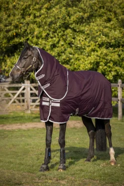 Online horseware Amigo Hero Ripstop Plus Medium Ulkoloimi Irrotettavalla Kaulakappaleella, 200 G Fig/Silver