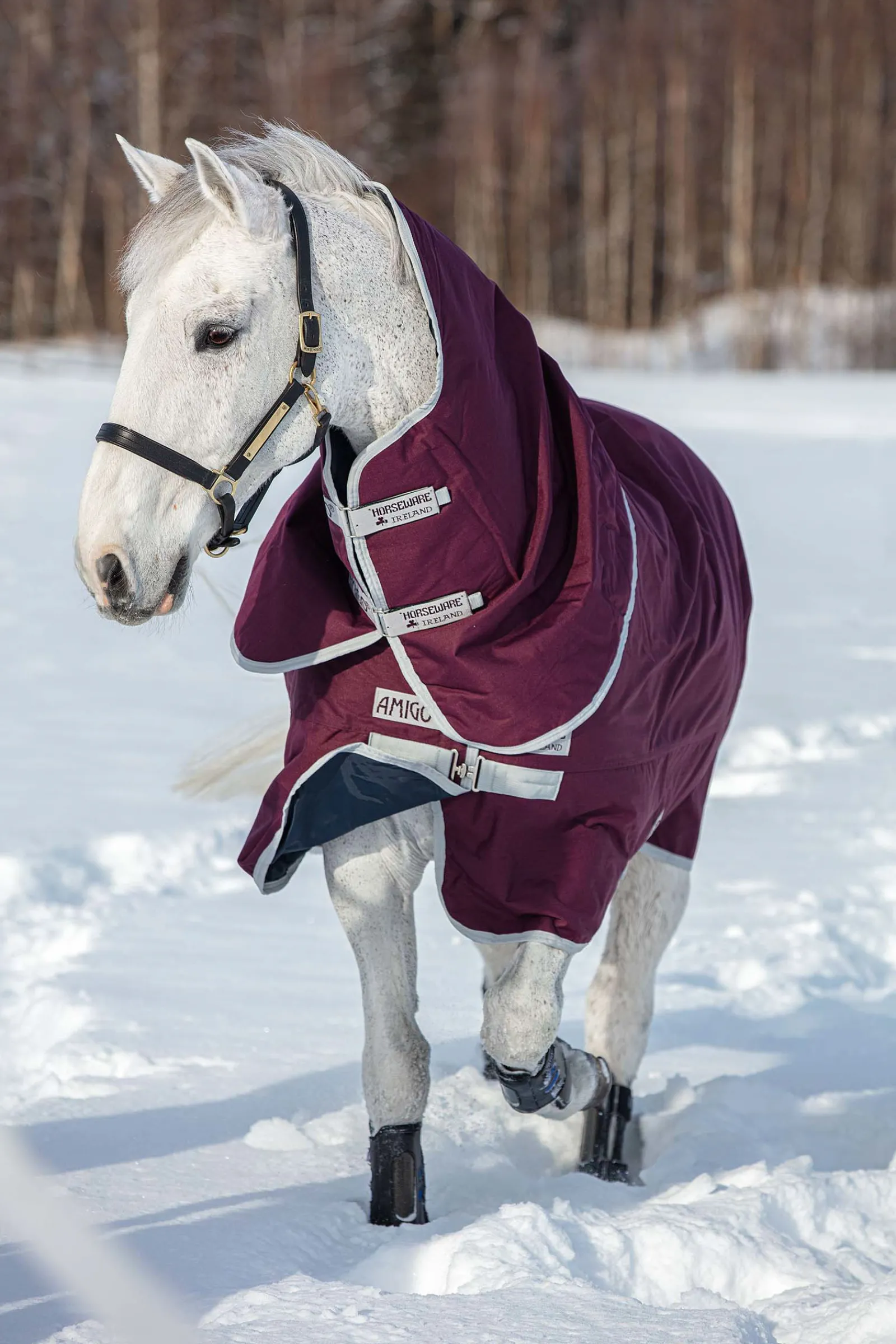 Online horseware Amigo Hero Ripstop Plus Medium Ulkoloimi Irrotettavalla Kaulakappaleella, 200 G Fig/Silver