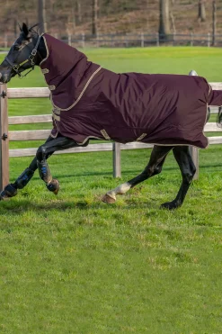 Discount horseware Amigo Hero Ripstop Plus Lite Ulkoloimi Irrotettavalla Kaulakappaleella, 0 G Fig/Navy/Tan