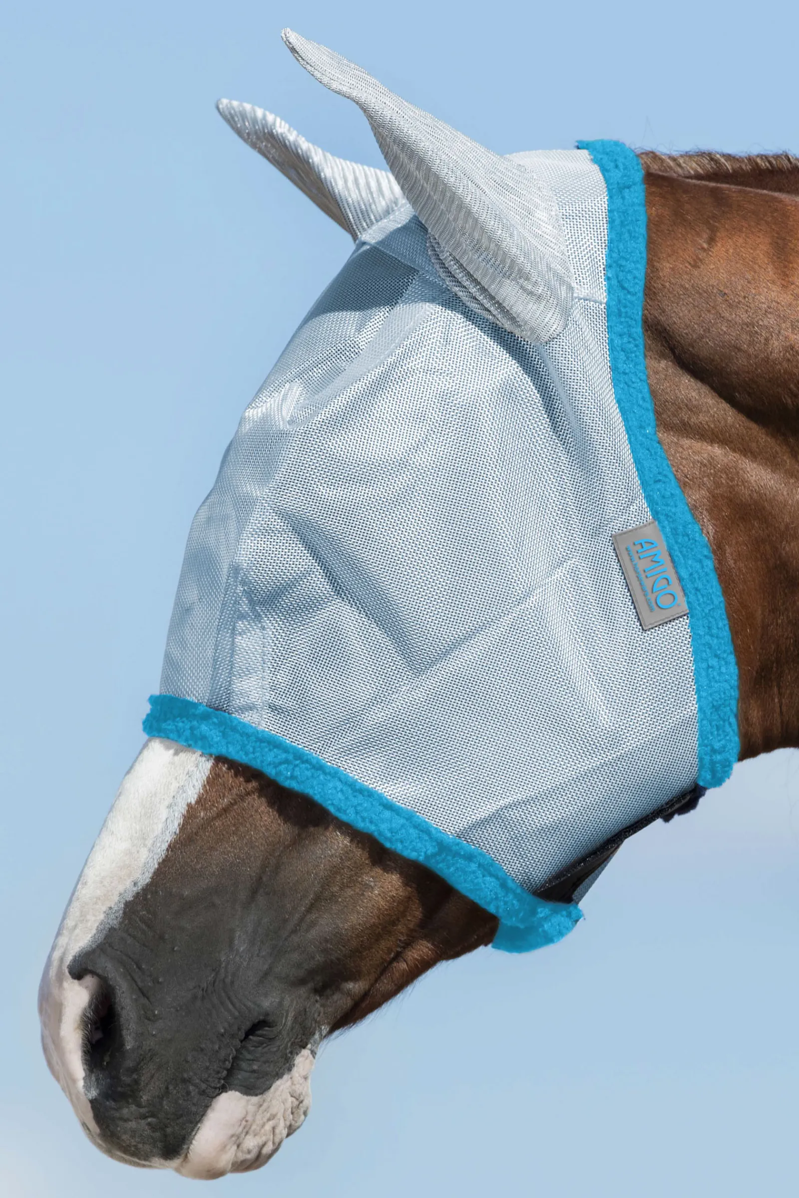 Discount horseware Amigo Karpasmaski Baby Blue / Electric Blue