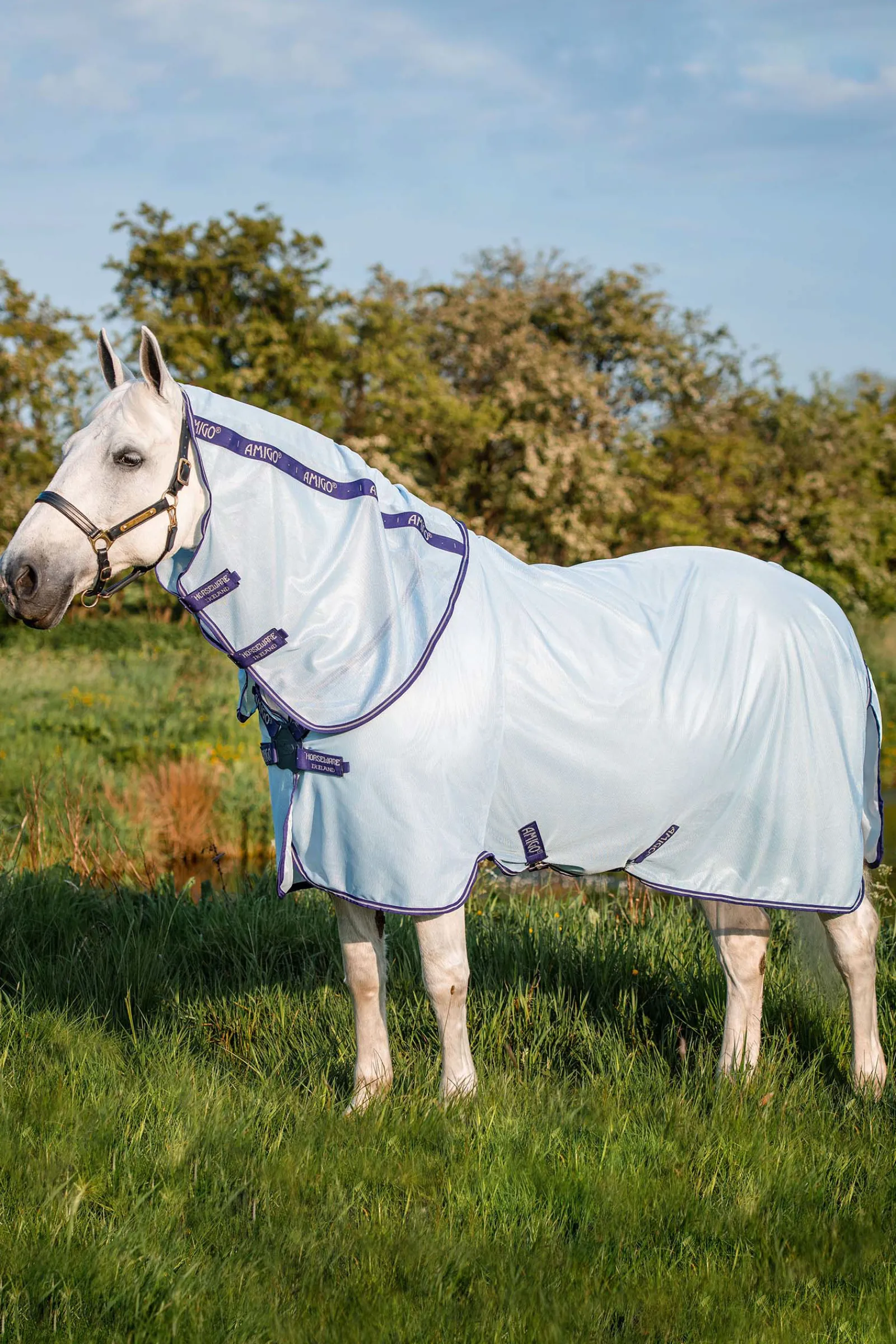 Hot horseware Amigo Xl Hyonteisloimi Azure Blue/Dark Blue