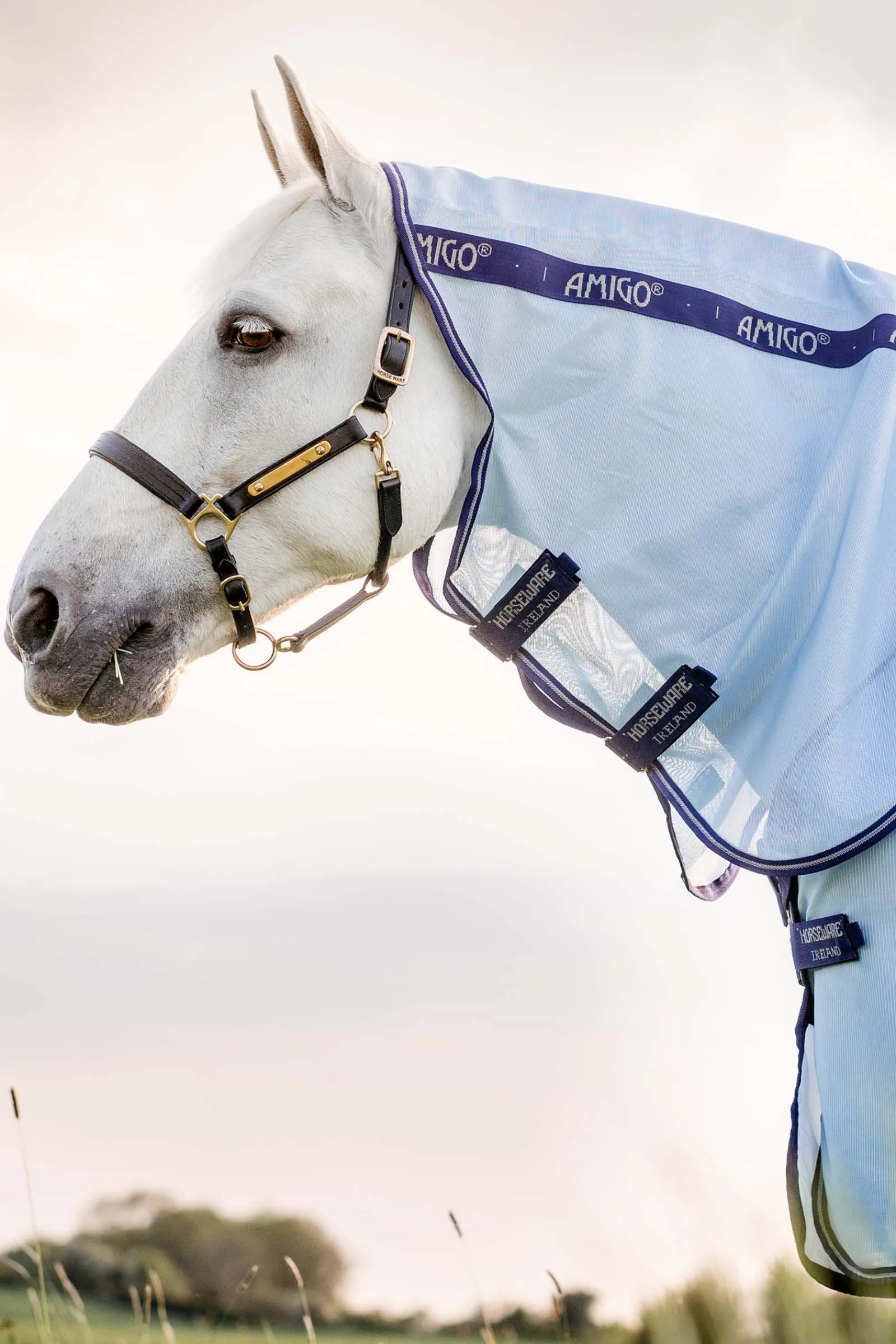 Hot horseware Amigo Xl Hyonteisloimi Azure Blue/Dark Blue