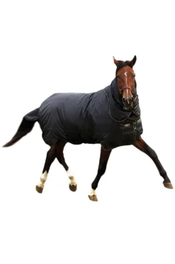 horseware Hw Trot Plus Heavy Ulkoloimi, 350G. Black/Black/Tan Brown