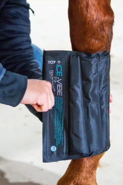 Hot horseware Ice-Vibe Kylmayssuojat Black/Aqua Blue