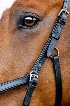 Hot horseware Rambo Micklem 2 Competition Suitset Black