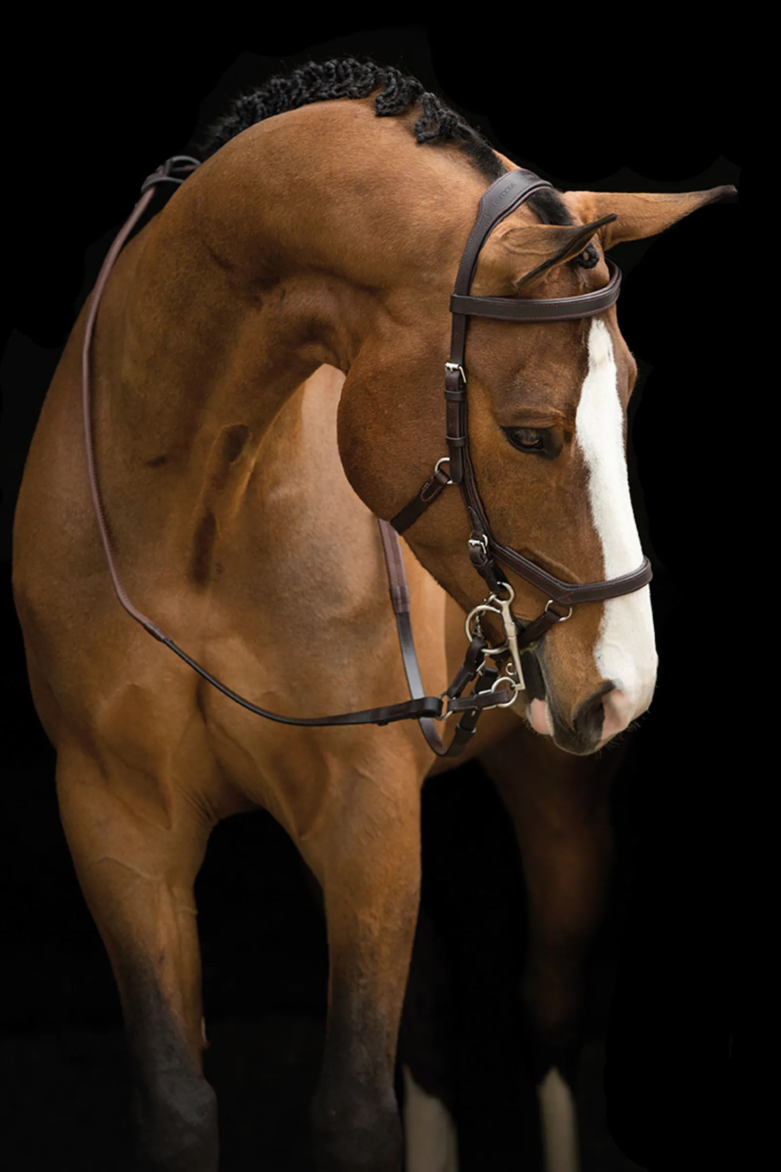 Outlet horseware Rambo Micklem Kilpailusuitset Dark Brown