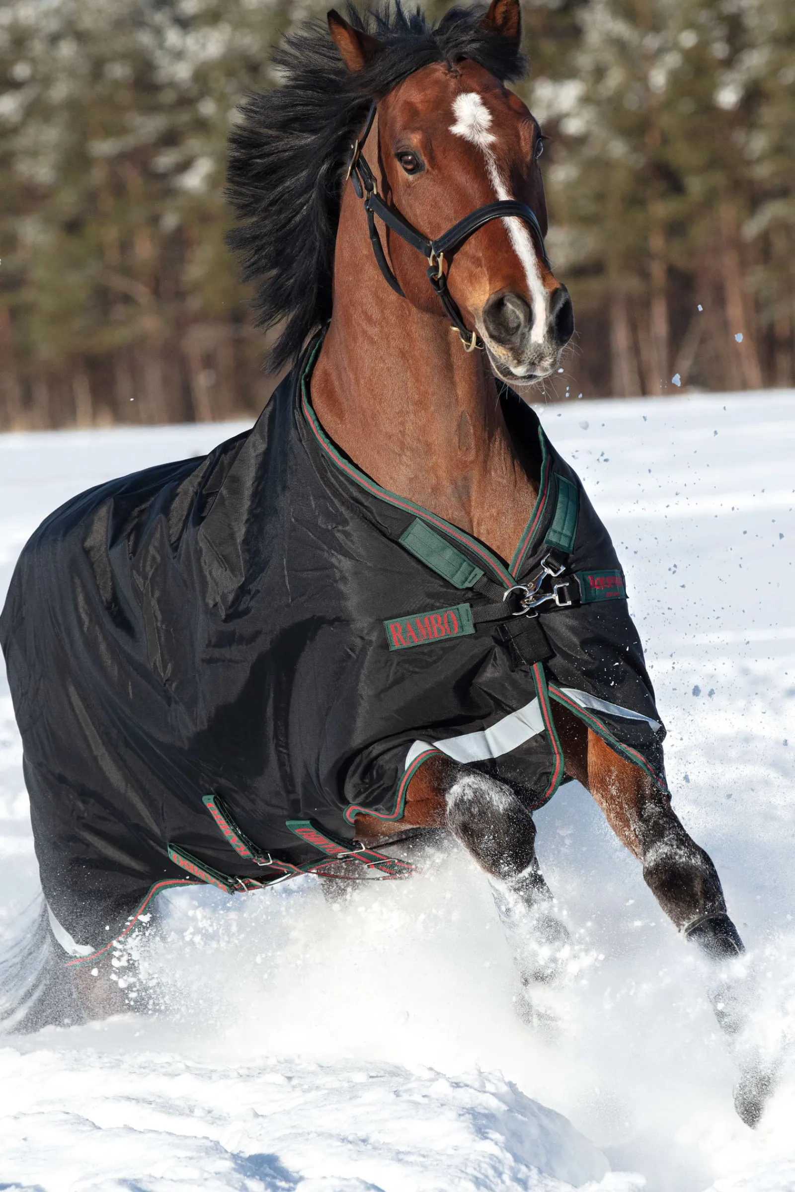 Sale horseware Rambo Original Ulkoloimi Jalkatiloilla, 200 G Black/Green/Red