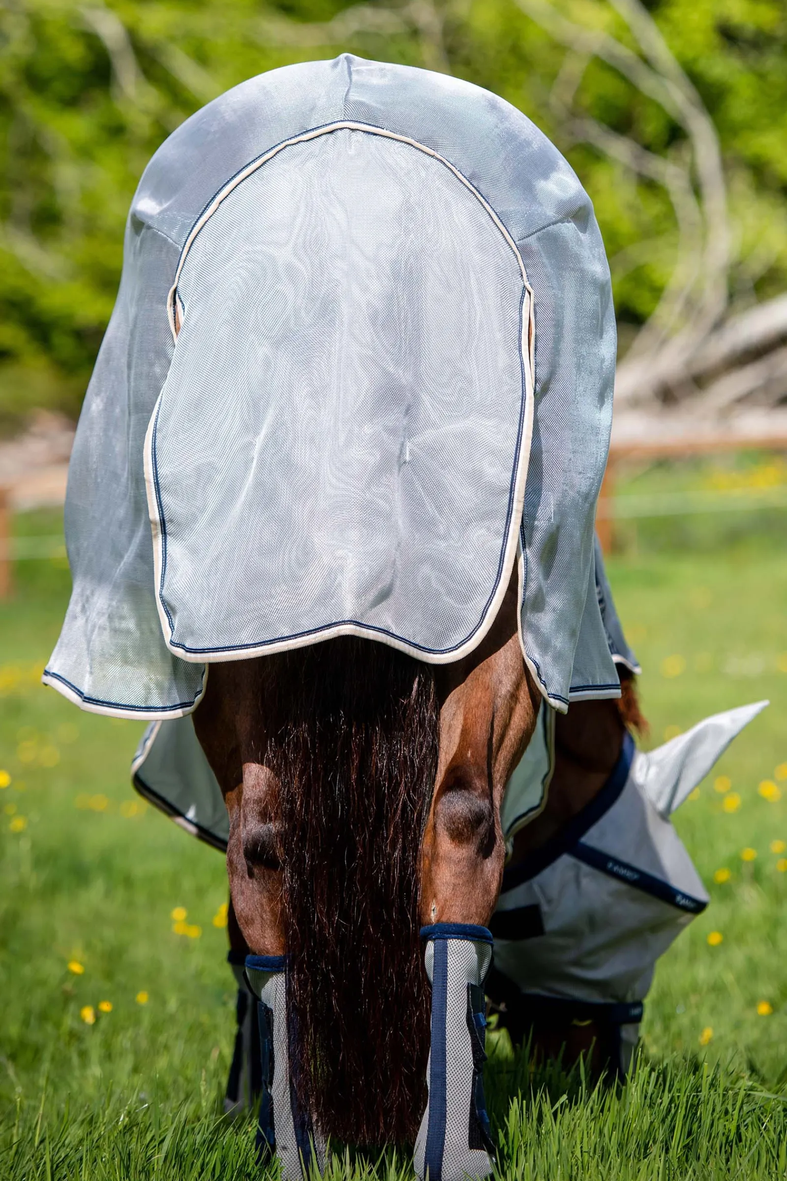 Outlet horseware Rambo -Suojaloimi Silver/Dark Blue