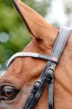 Sale johnwhitaker John Whitaker Lynton Flash -Kuolainsuitset Vaihdettavalla Otsahihnalla Black