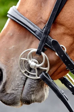 Sale johnwhitaker John Whitaker Lynton Flash -Kuolainsuitset Vaihdettavalla Otsahihnalla Black