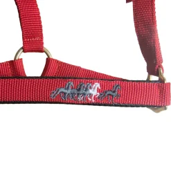 Online karlslund Nylonriimu Red