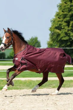 Best kavalkade Alaska Iv Ulkoloimi, 100 G Dark Red