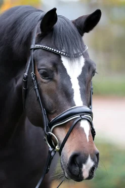 Best kavalkade Charlotte Koulusuitset Pullback-Turpahihnalla Black/White