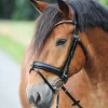 Hot kavalkade Clinchesse Bridle Black/Silver