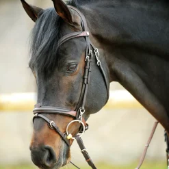 Online kavalkade Everyday Suitset Black