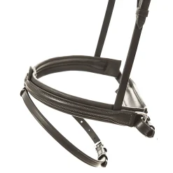 kavalkade Filip Suitset, Pullback-Turpahihnalla Brown