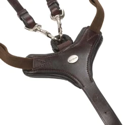 Hot kavalkade Leyla Rintaremmi Brown