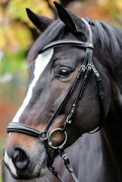 Sale kavalkade Proline Anna Bridle Dropped Noseband Black