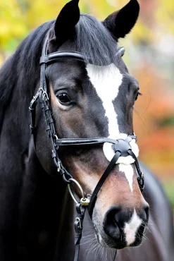 kavalkade Proline Diego Mexican Bridle Black