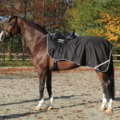 Online kavalkade Saderatsastusloimi Black