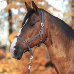 Hot kavalkade Simple Riimu Brown/ Turquoise