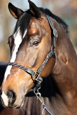 Outlet kavalkade Tessa Punottu Riimu Antracite/ Navy/ White