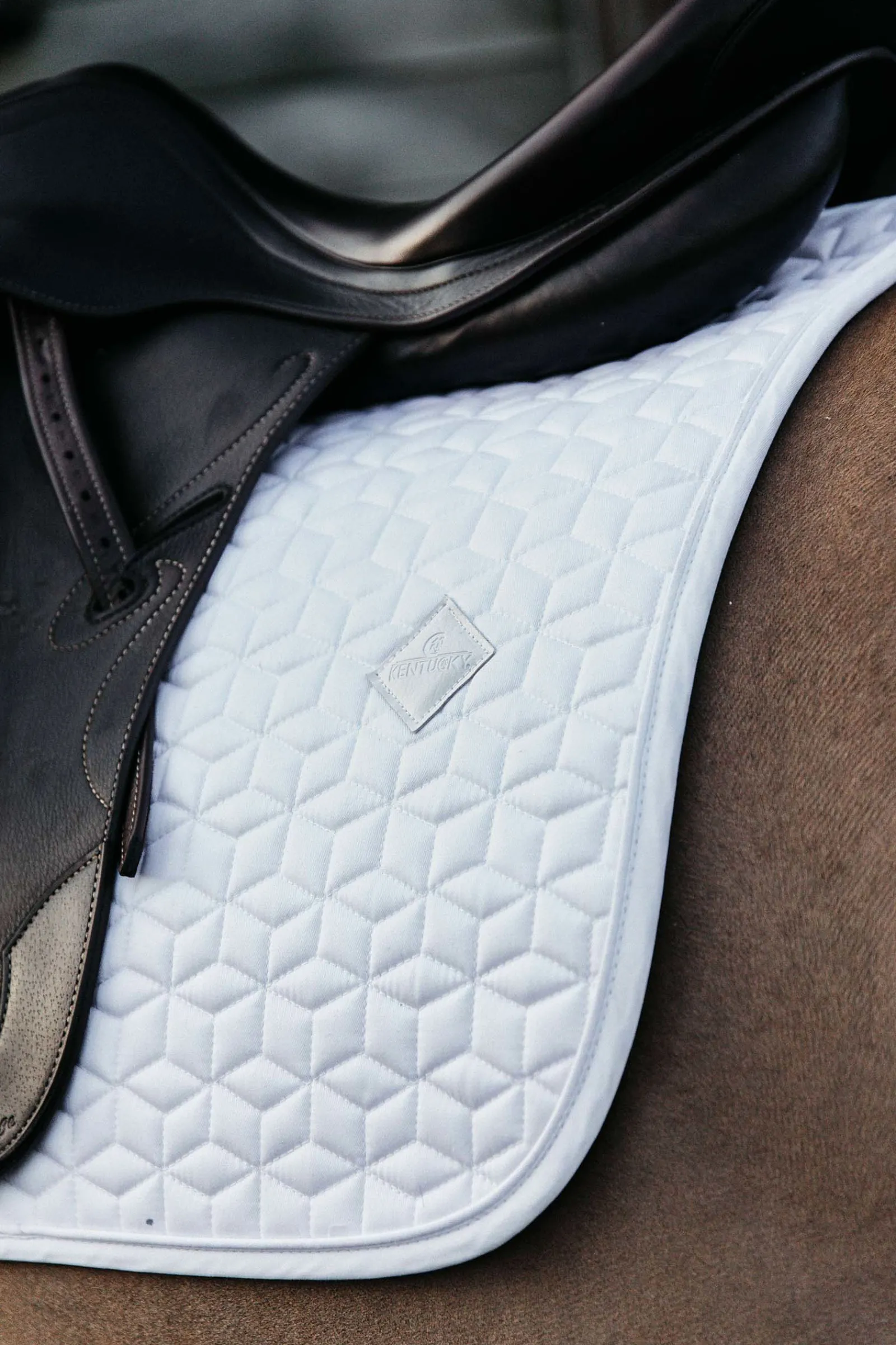 New kentucky Horsewear Basic Koulusatulahuopa Wh/Ab