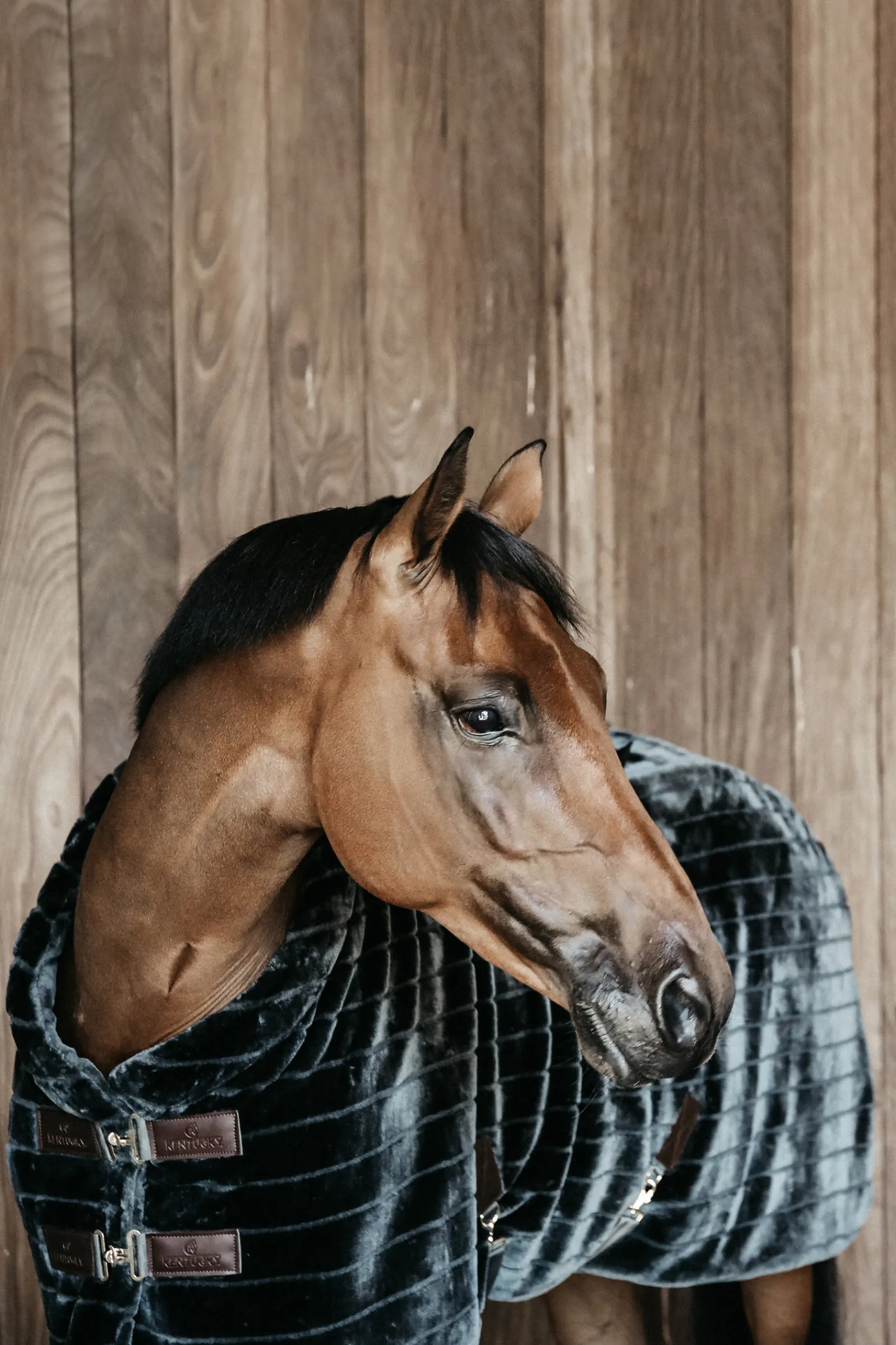 Hot kentucky Horsewear Fake Fur Talliloimi Grey