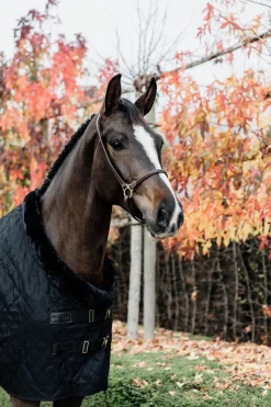 Outlet kentucky Horsewear Kilpailuloimi, 160 G Black/Black