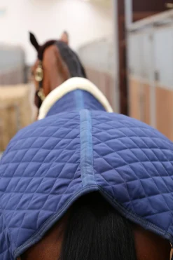 Discount kentucky Horsewear Talliloimi 400 G Db/Ab