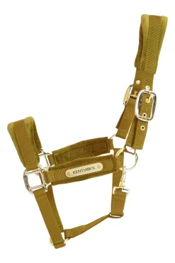 Online kentucky Horsewear Velvet Riimu Mustard Gold