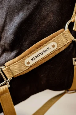 Online kentucky Horsewear Velvet Riimu Mustard Gold