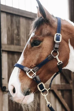 New kentucky Punottu Nailonriimu Db/Ab