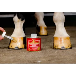 Best kevinbacon Kevin Bacon'S -Kaviooljy, 500Ml Ei Maaritelty