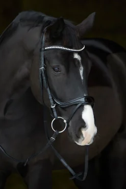 Discount kieffer Ultrasoft® Amy Shine Suitset Black