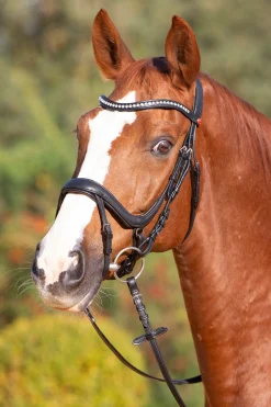 New kieffer Ultrasoft® Amy Suitset Black