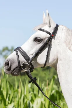 Clearance kieffer Ultrasoft® Economy Suitset Black